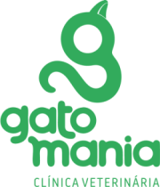 gato-mania-1